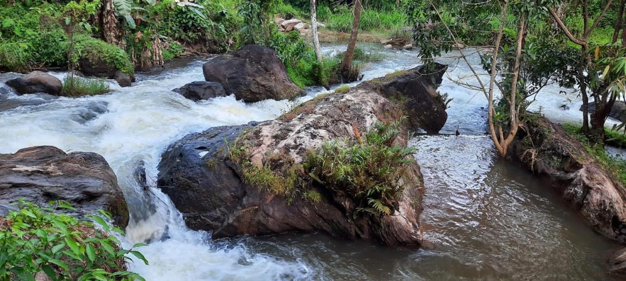 Linn View Home Stay Munnar Kamer foto