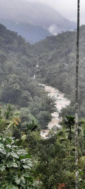 Linn View Home Stay Munnar Buitenkant foto