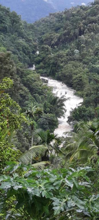 Linn View Home Stay Munnar Buitenkant foto